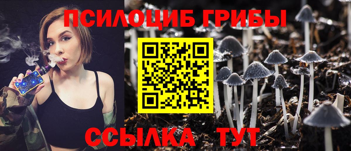 Псилоцибиновые грибы GOLDEN TEACHER Махачкала