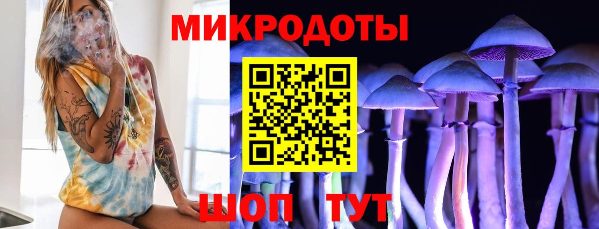 Псилоцибиновые грибы GOLDEN TEACHER  Вход с VPN  Псилоцибиновые грибы Cubensis  Махачкала 